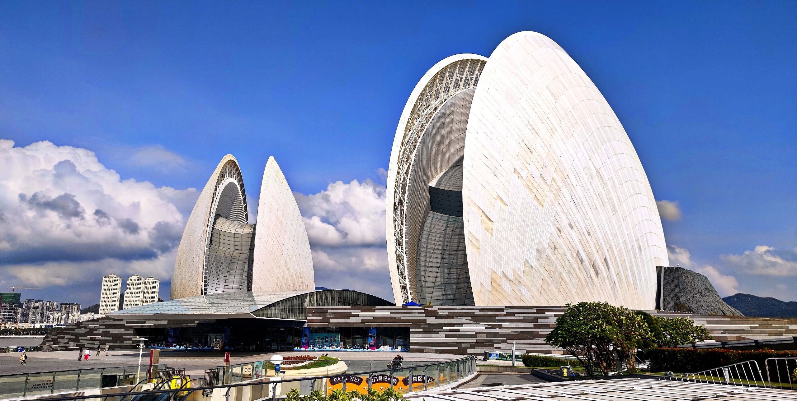 珠海市2025年年度房地产市场供求情况分析